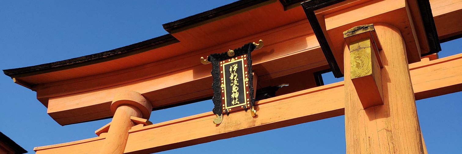 carp__carp's profile banner image
