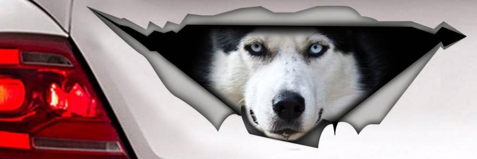 husky1909's profile banner image
