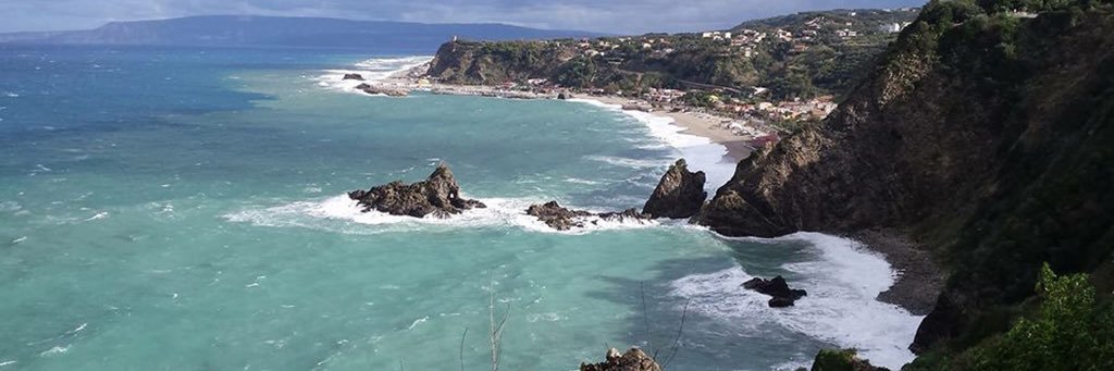 Daniela Carrozza banner