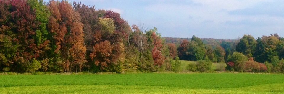 Mike Vanlieshout banner