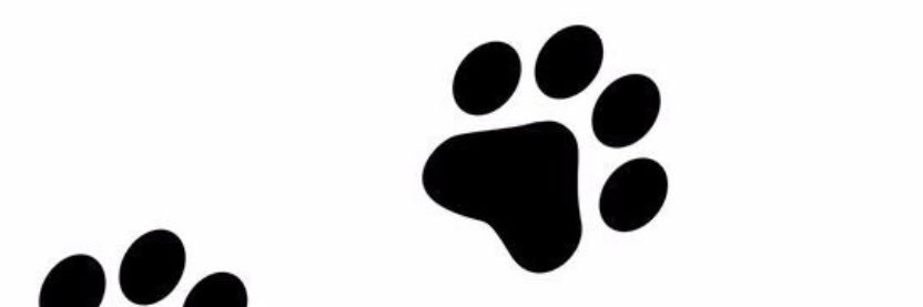camachocr's profile banner image