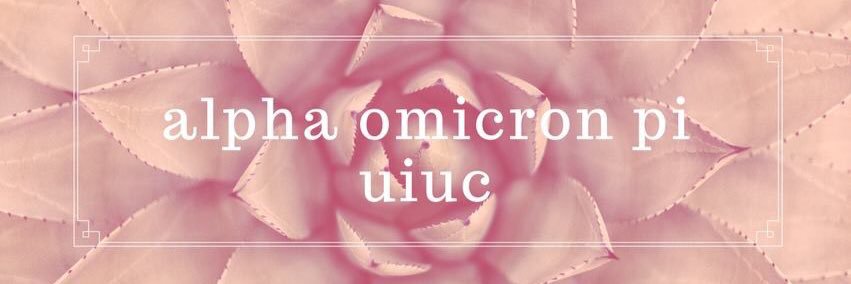 IllinoisAOII's profile banner image