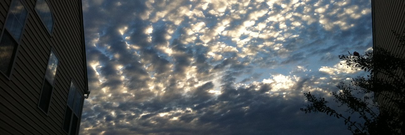 WisdomOfTheDeep's profile banner image