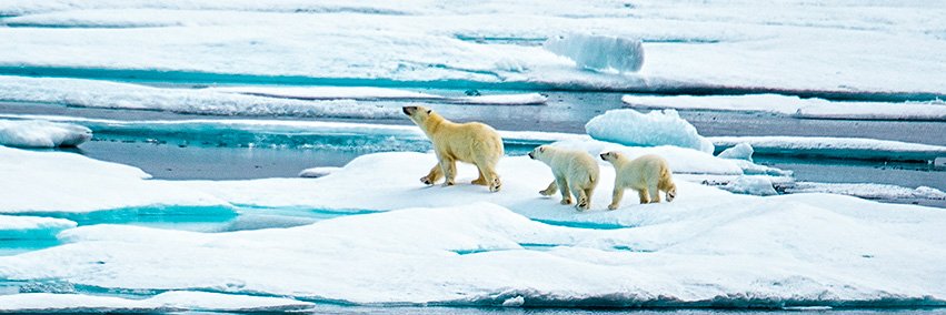 Adventure Canada banner