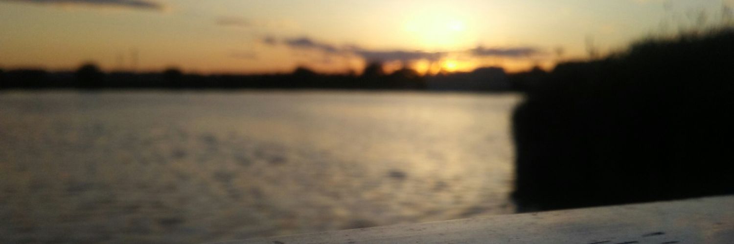 estoreciencomi2's profile banner image