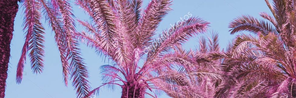 Titledjay's profile banner image