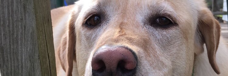 Kris_Little's profile banner image