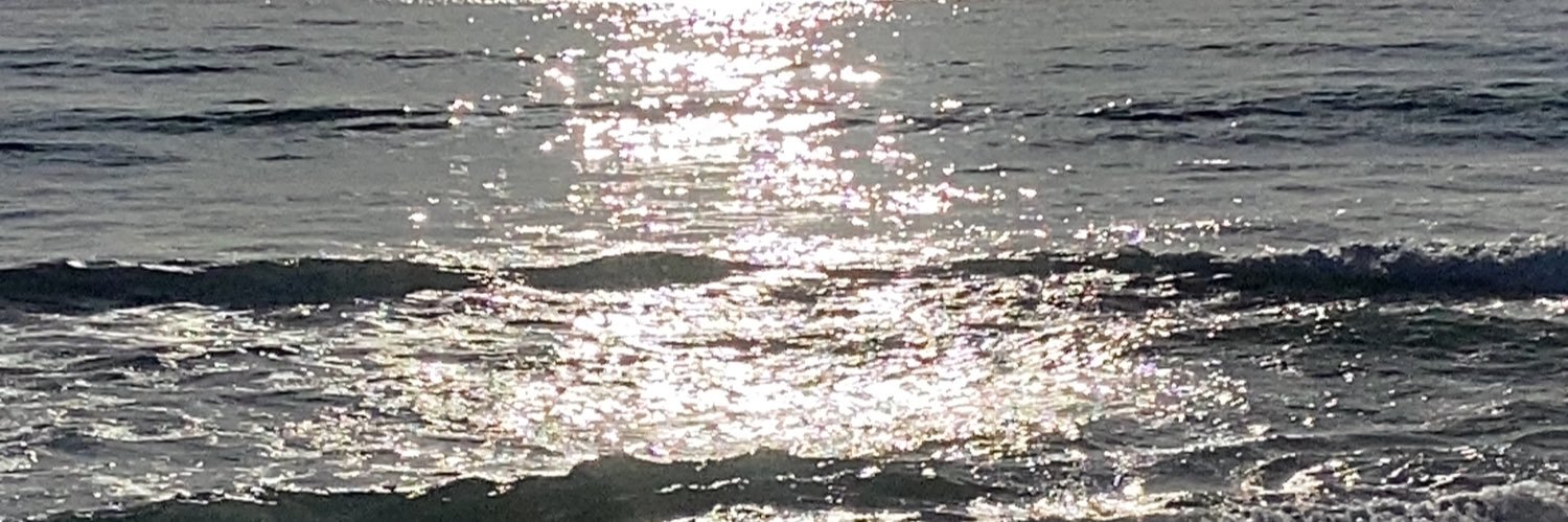 MichelleAglSrt's profile banner image