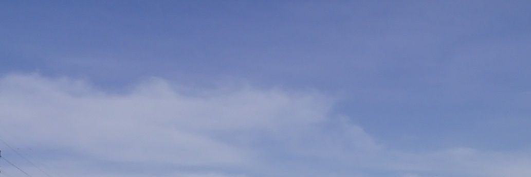 nyaaa_poke's profile banner image
