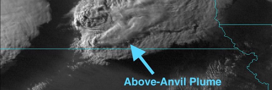 Cameron Homeyer banner