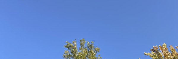 MrDHillcrest Profile Banner