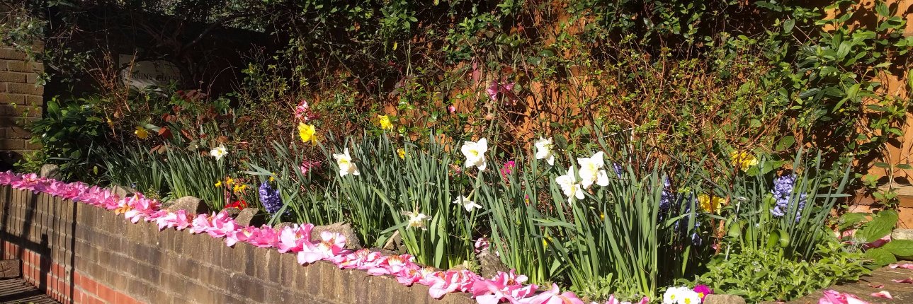 Prideaux_House's profile banner image