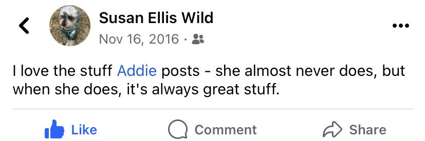 addiewild's profile banner image