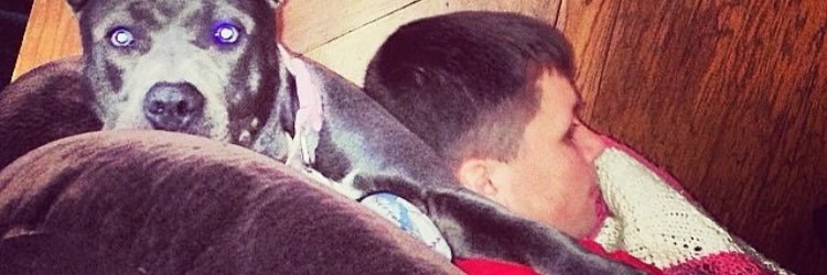 BRunyen13's profile banner image