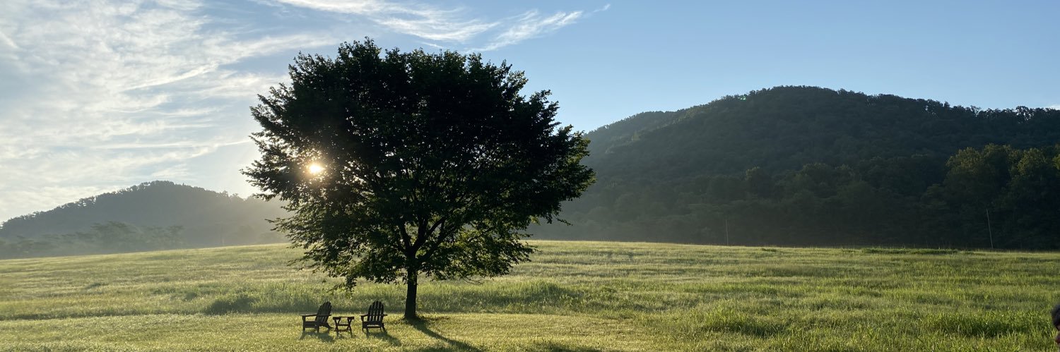 Tracy Rothschild Lynch banner