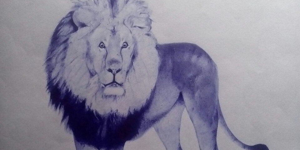 MerajSherifi's profile banner image