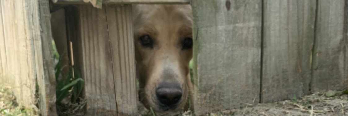 ColeWThomas's profile banner image