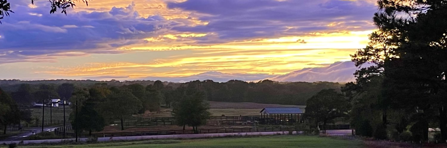 McCannPhotog's profile banner image