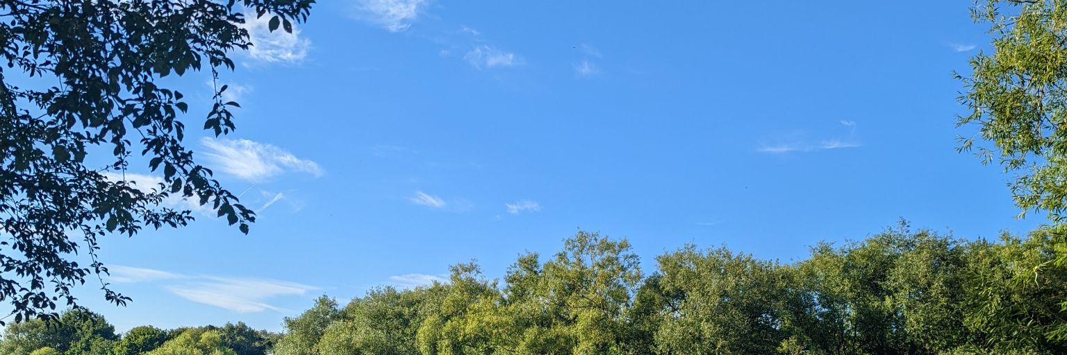 _JaccRob's profile banner image
