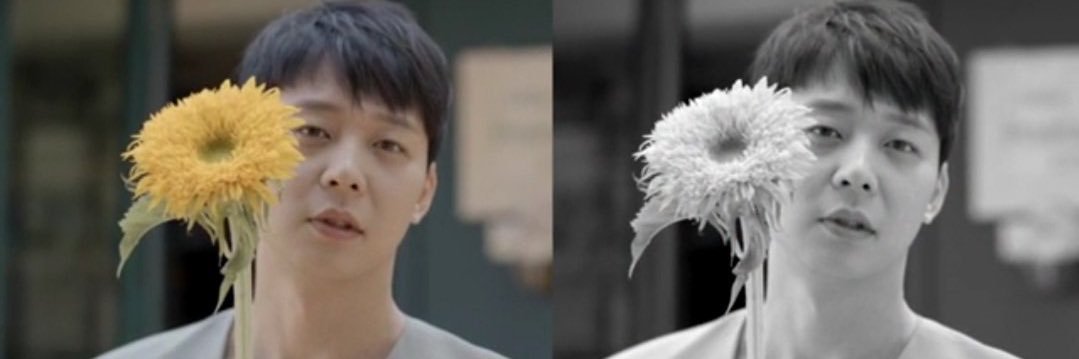 mokimomo 🌻💙 banner