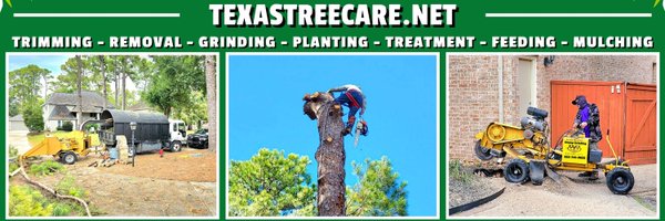 TexasTreeCare Profile Banner