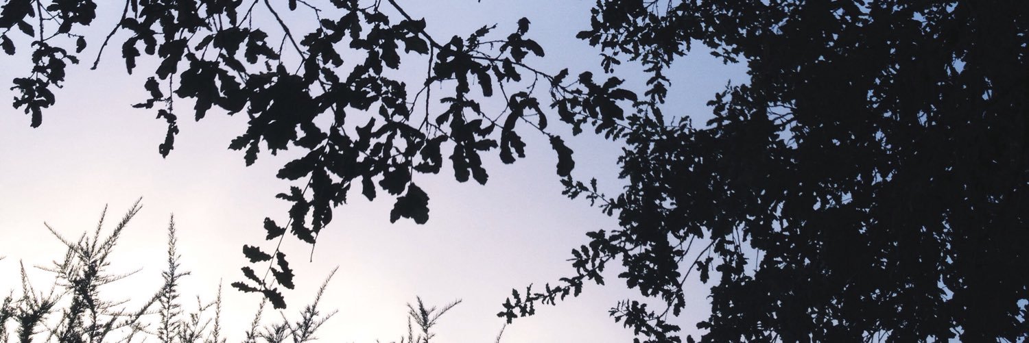andreagfdez92's profile banner image