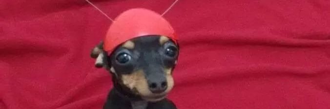 Sarres_'s profile banner image