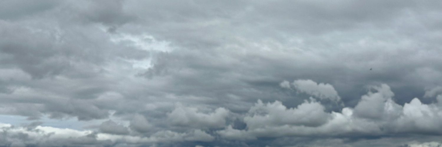 Majomajito's profile banner image