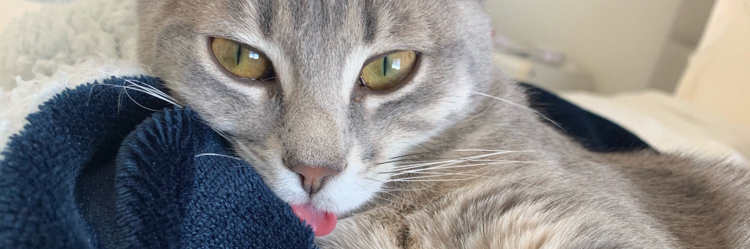 samtraversy's profile banner image