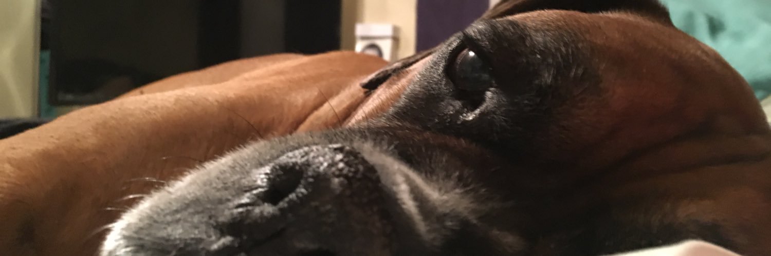 Francesca Renee banner