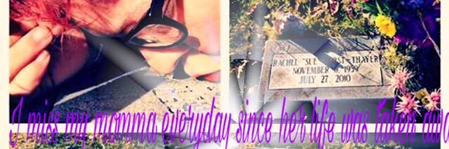 MSsumnerRoots banner