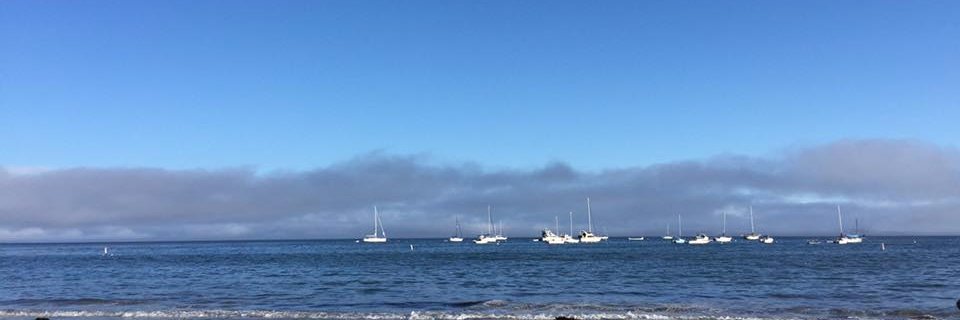 Chandra Slack Wallace banner