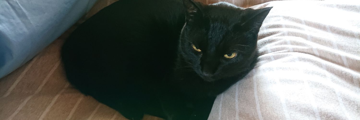 MIROKUNNN's profile banner image