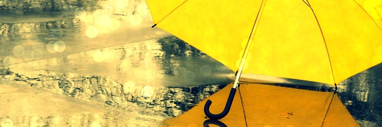 Jonghanha's profile banner image
