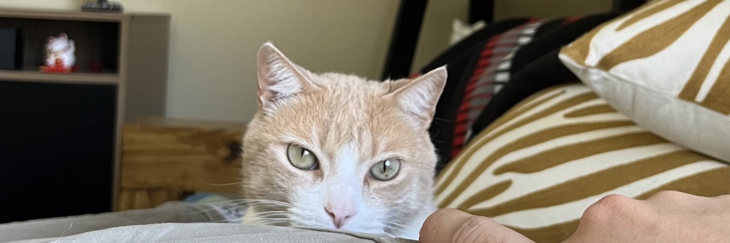 Leonardo Vargas banner