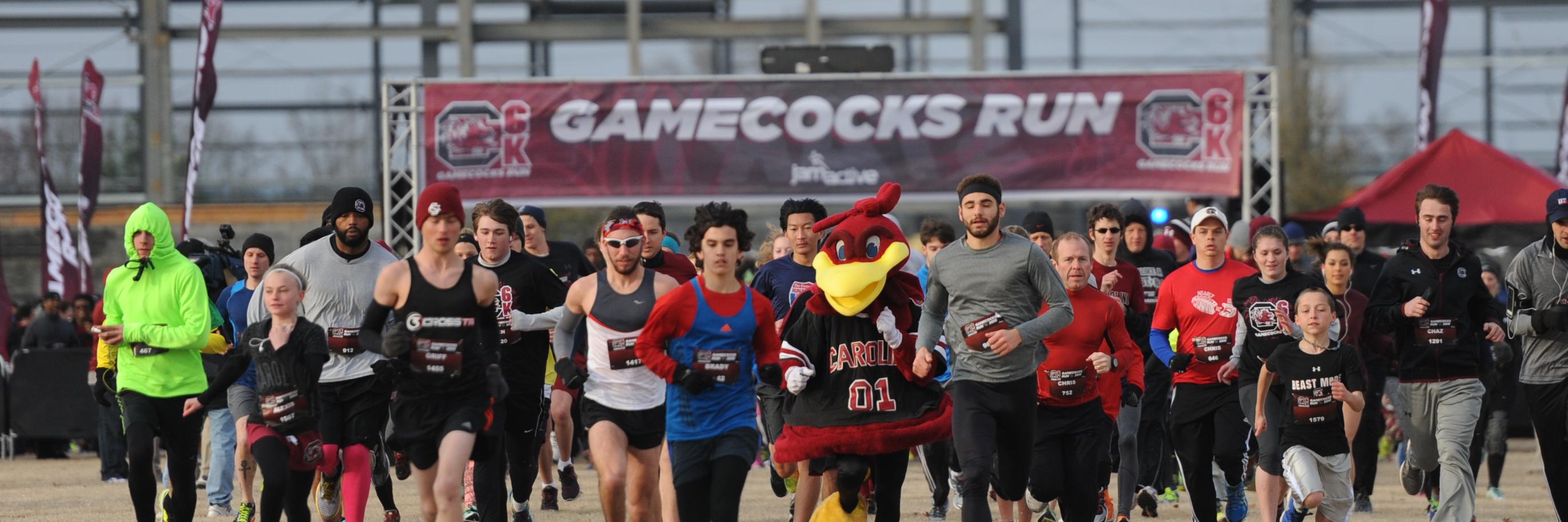 GamecocksRun's profile banner image