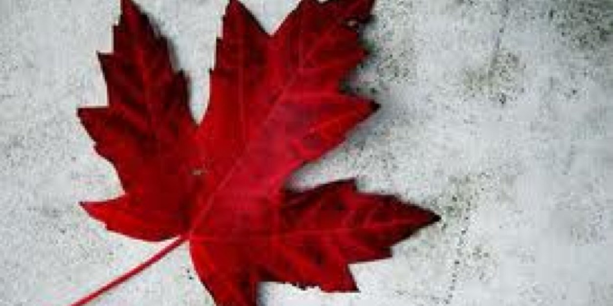 CFranklin_3's profile banner image