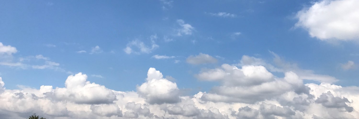 Mirandades2's profile banner image