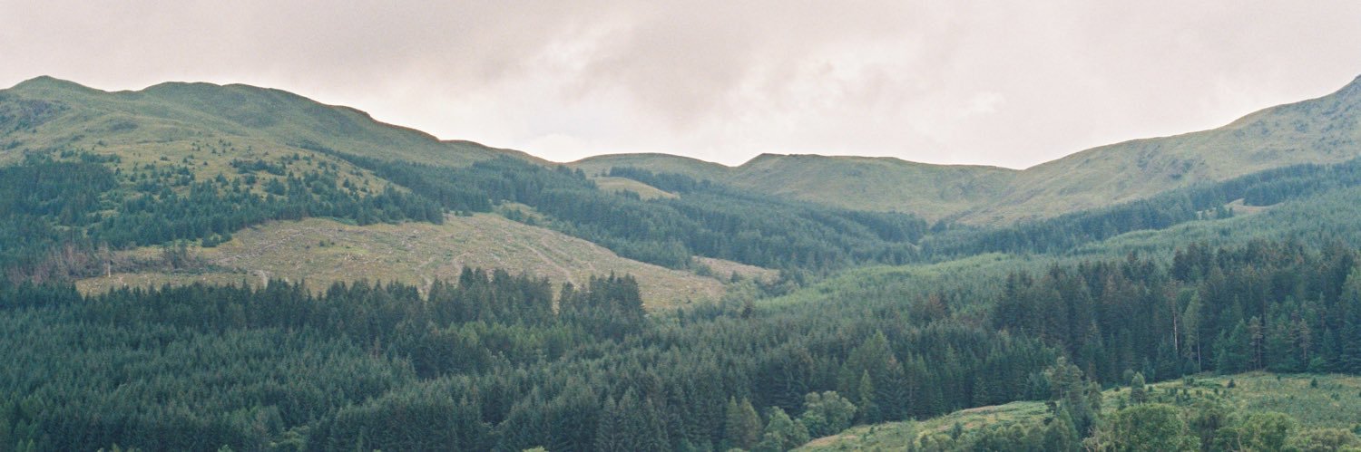 peacebusters_'s profile banner image
