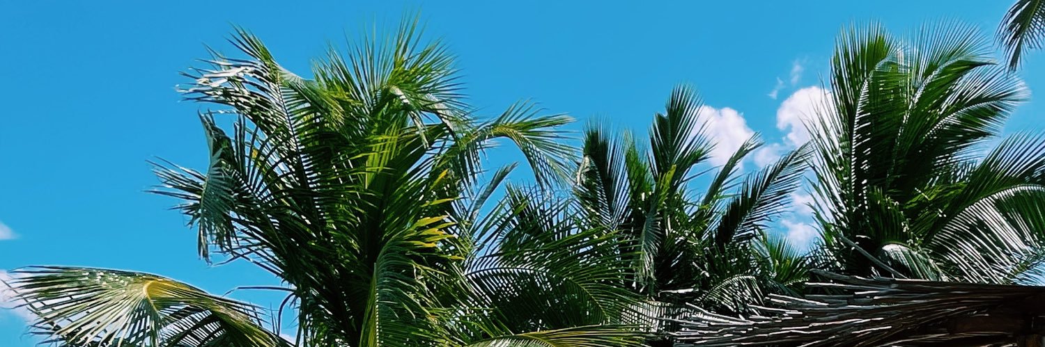 ciaraarisa's profile banner image
