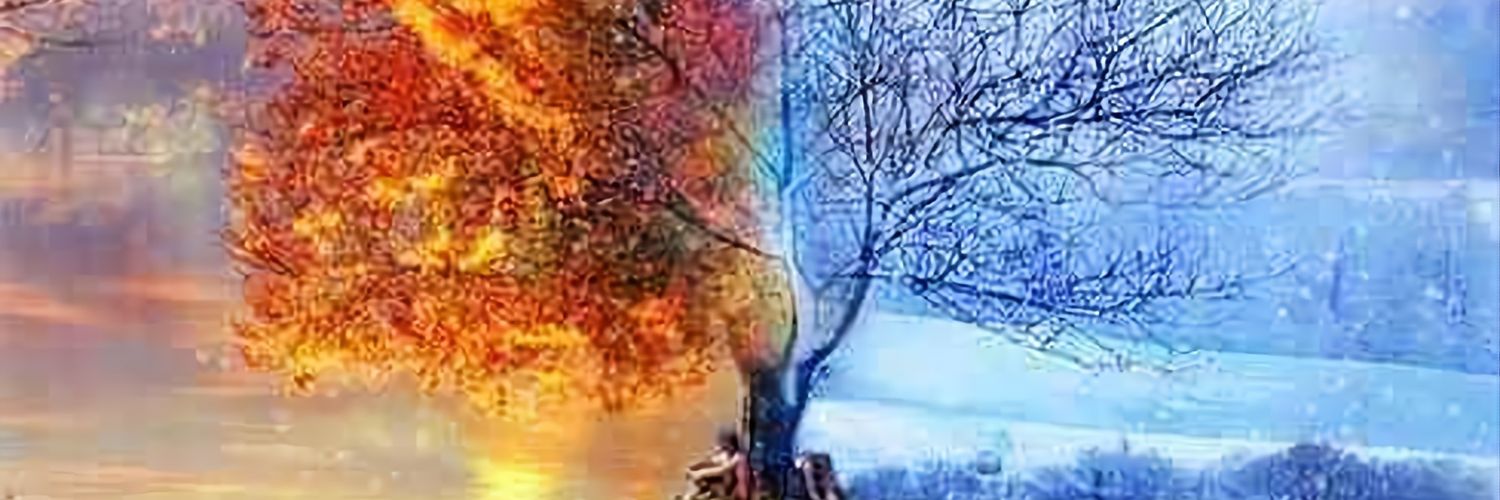 takashtor's profile banner image