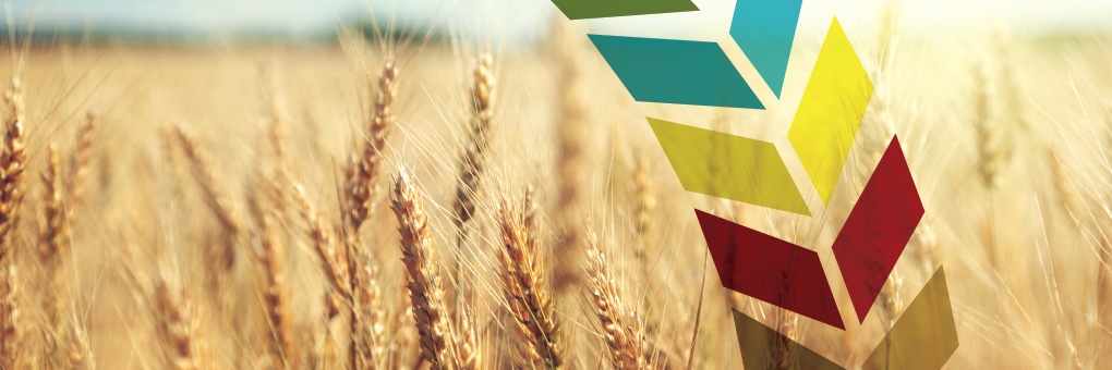 CanadaGrainsCouncil banner