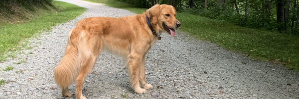 kgracely Profile Banner