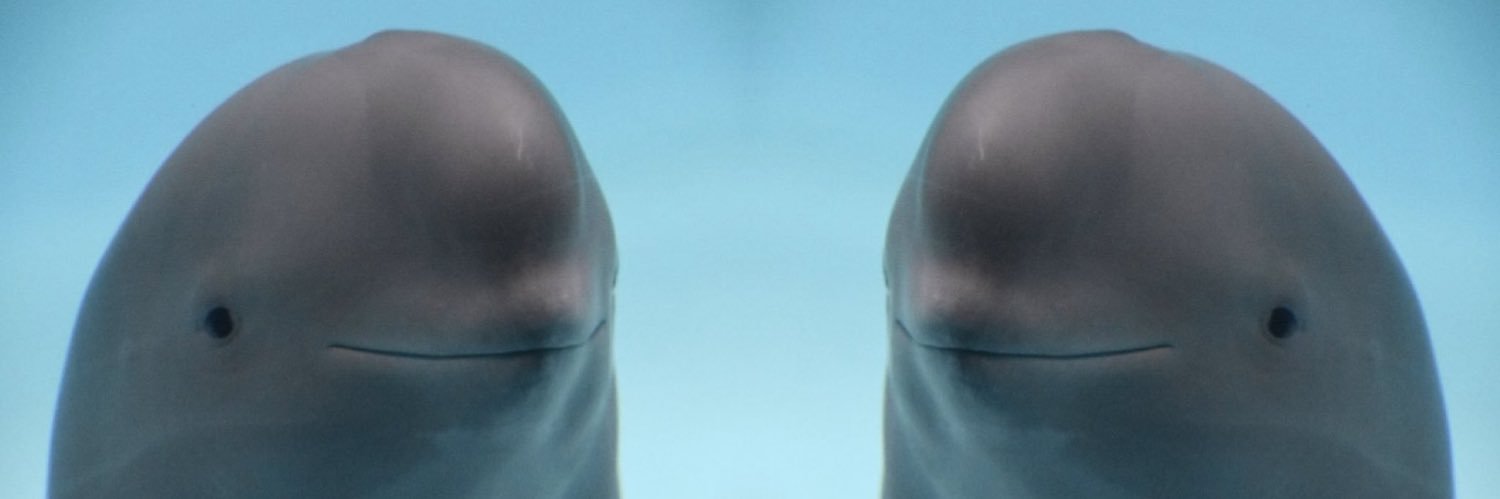gabsoong's profile banner image
