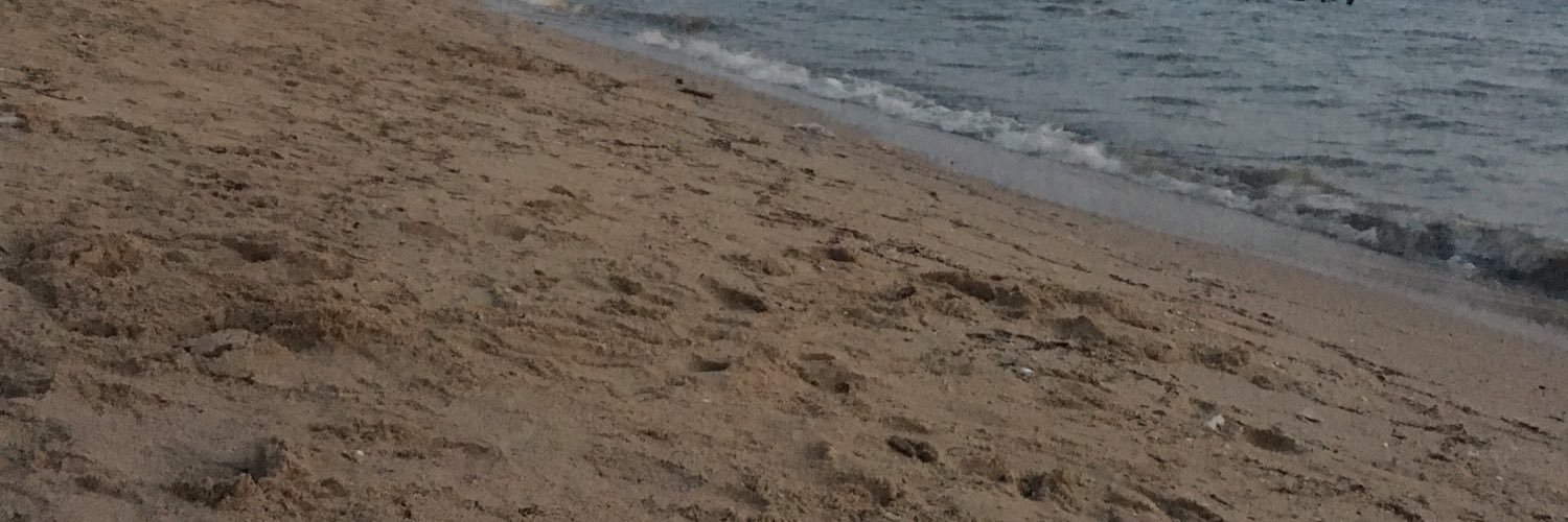 Pimploybpn's profile banner image