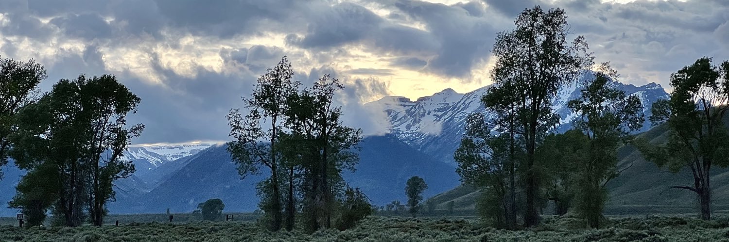 GFordLA's profile banner image