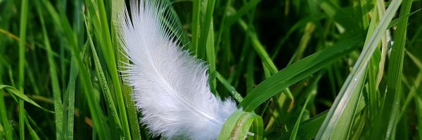 SalidaSol Profile Banner