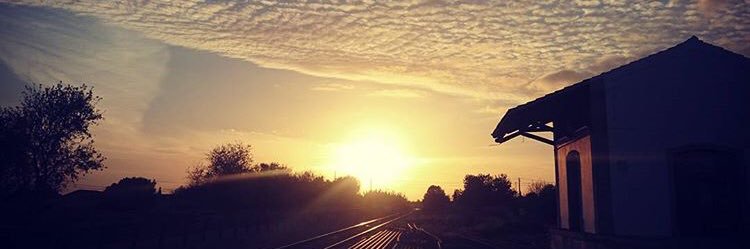 darrel96's profile banner image