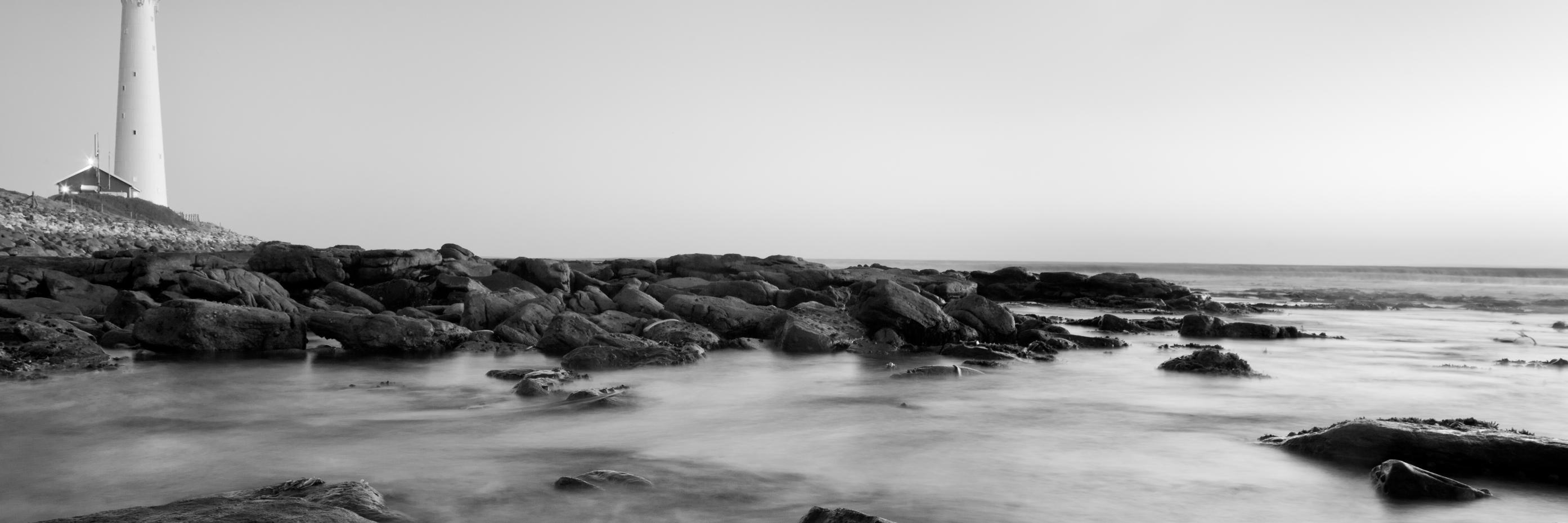 Trizanne Barnard banner