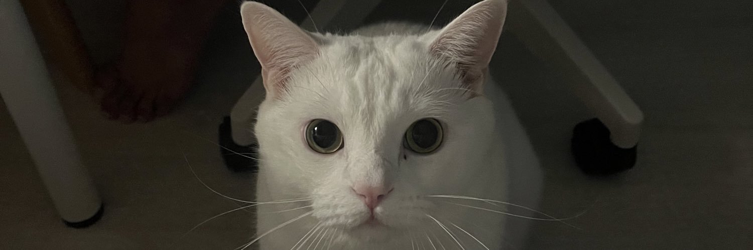 choblueei's profile banner image